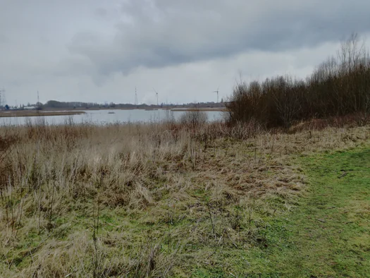Plains of Zwijndrecht, Antwerp (Belgium)